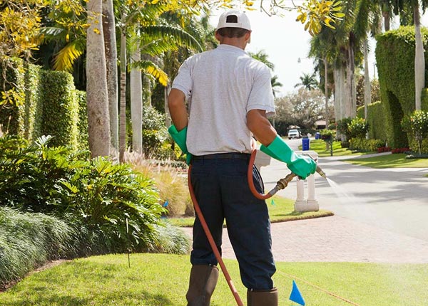 About Fremont IA Pest Control